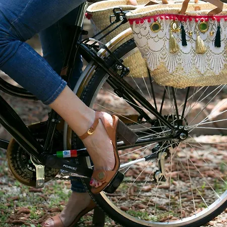 게스트하우스 Giardini Mon Plaisir 4*