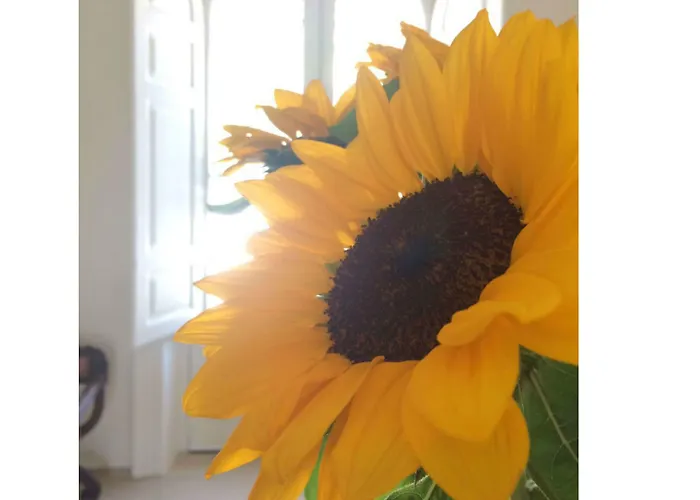 Giardini Mon Plaisir 4* Trapani