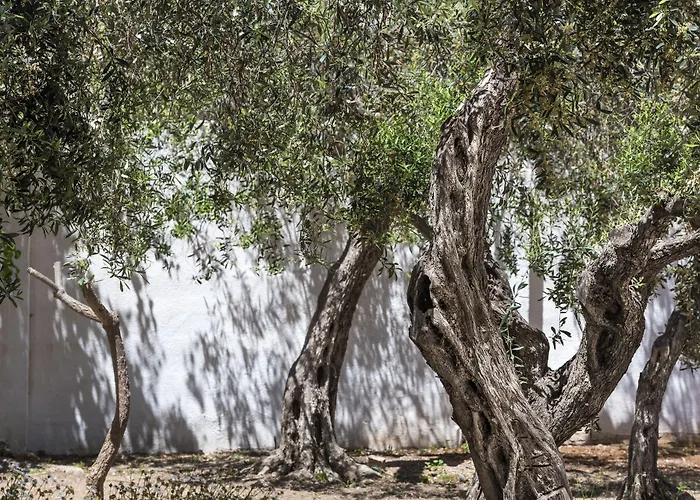 Giardini Mon Plaisir Trapani